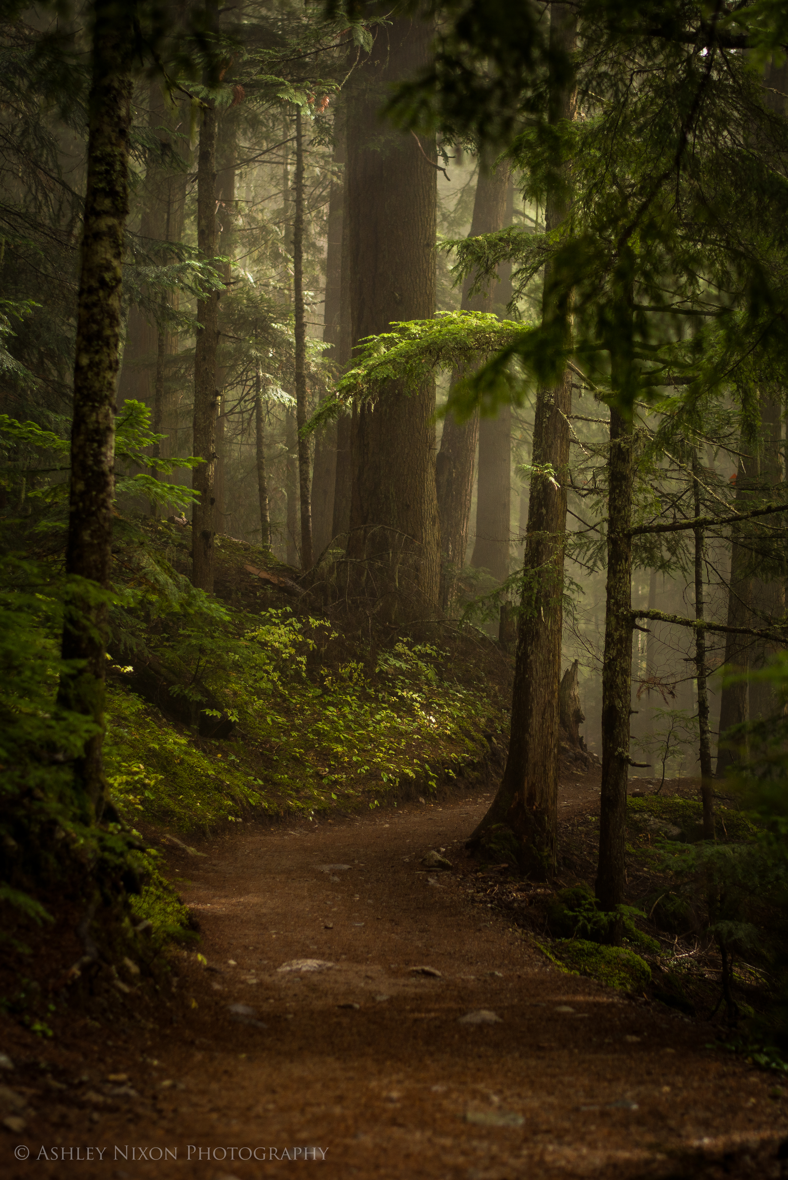 Photography by Dr. Ashley Nixon